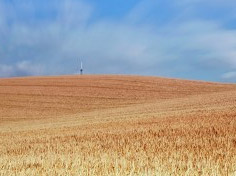 开云登录入口基地展示6