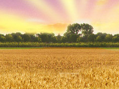 开云登录入口基地展示3