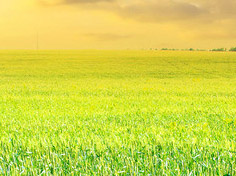 开云登录入口基地展示1